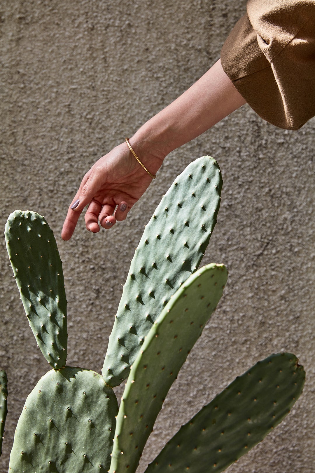 hand pointing at cactus