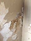 damaged tan plaster wall