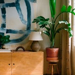 Corner of room with a plant