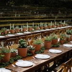 Dining tables with plant centerpieces