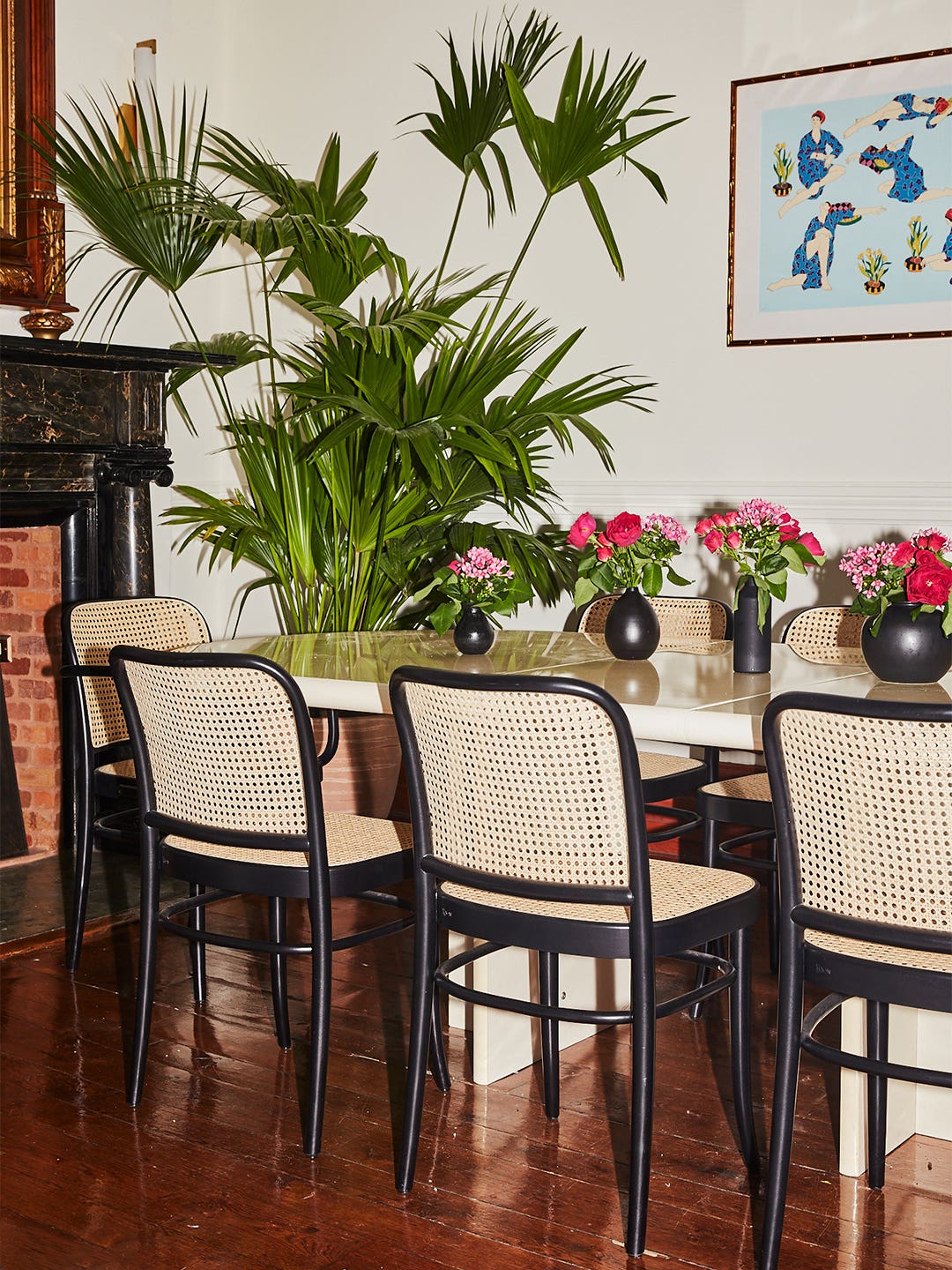 dining room with cane chairs and giant plant in the corner