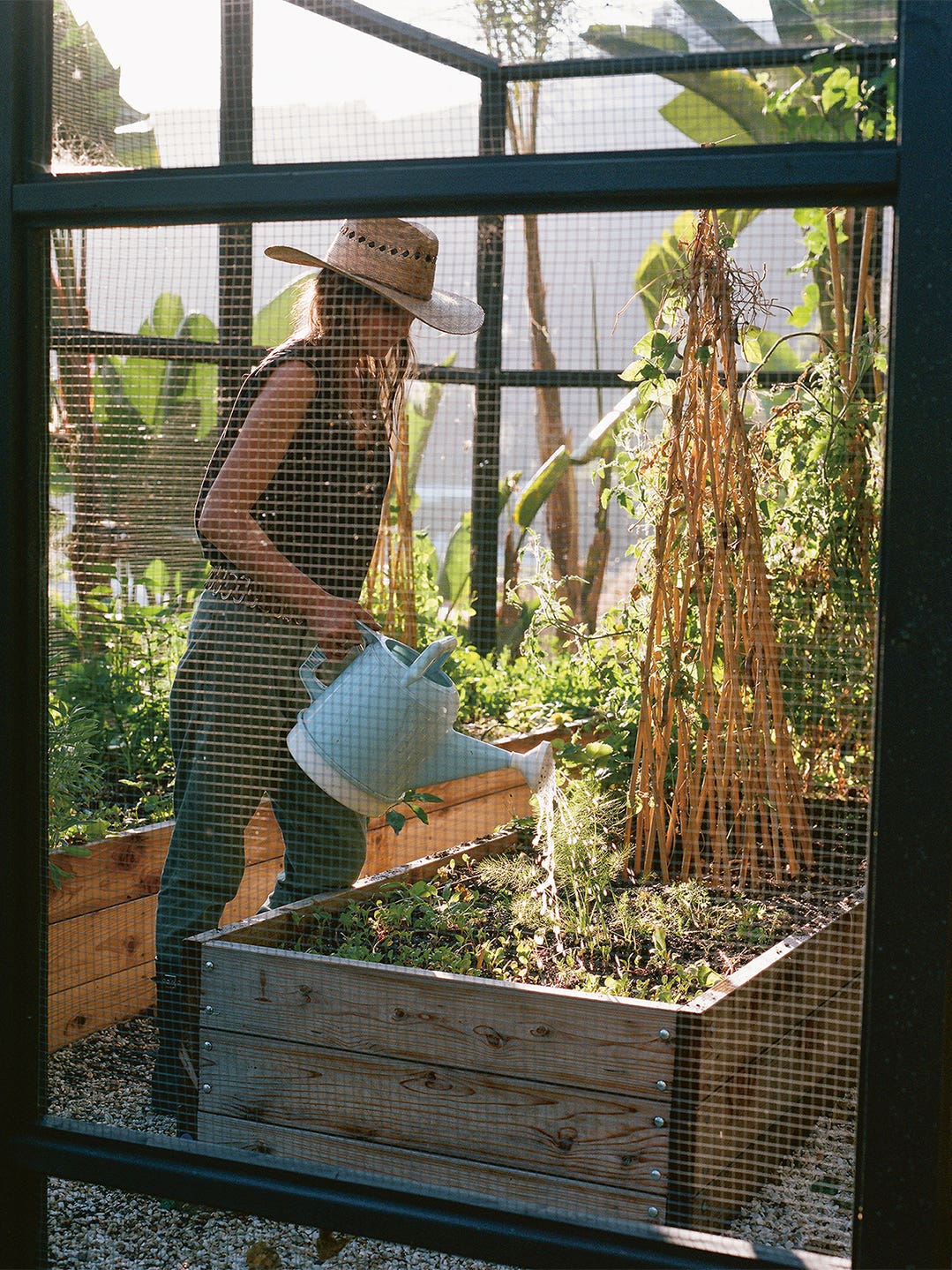 Lauri Kranz gardening