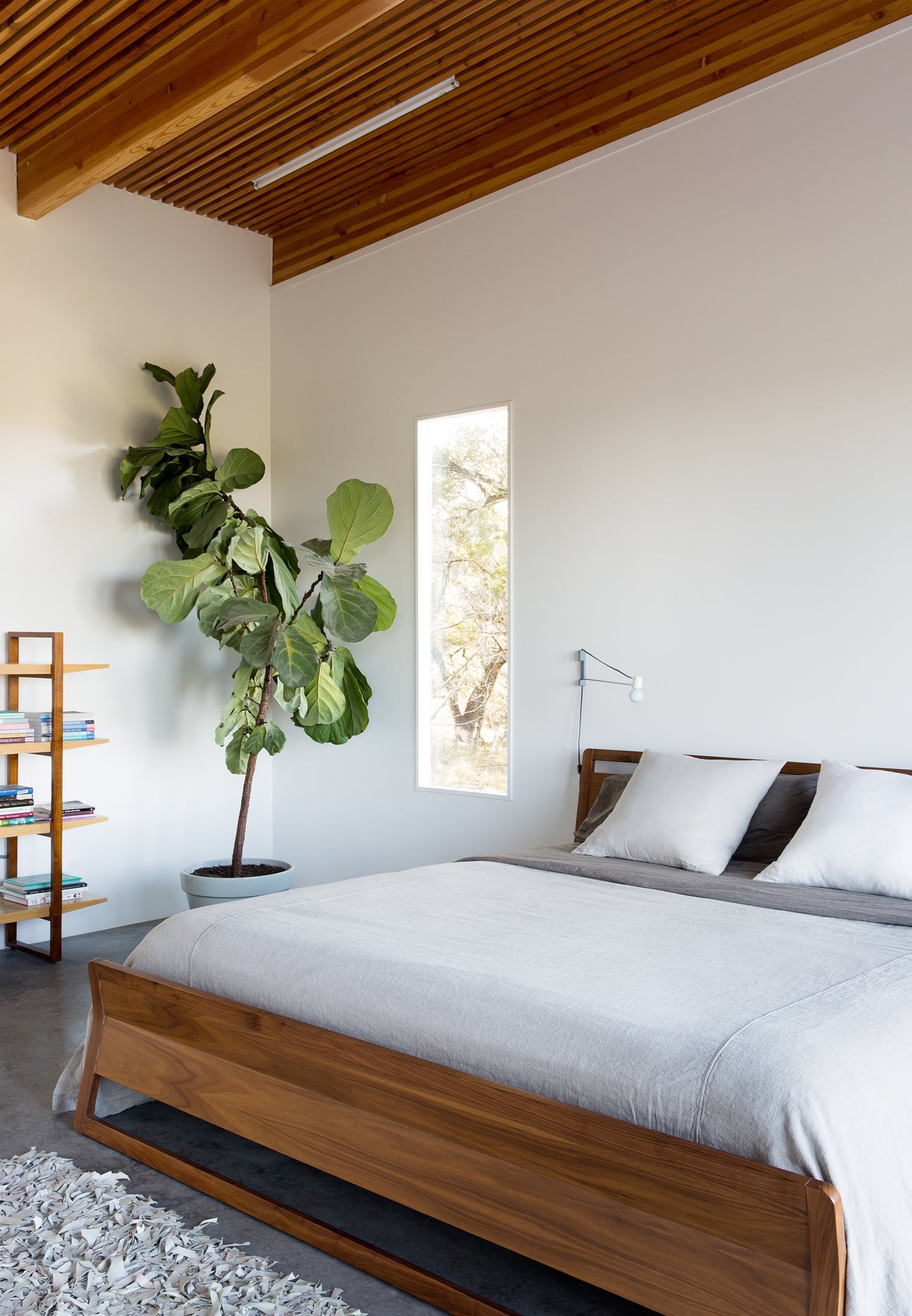 Simple bedroom with plant