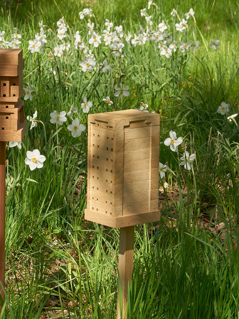 wood bee stand in forest