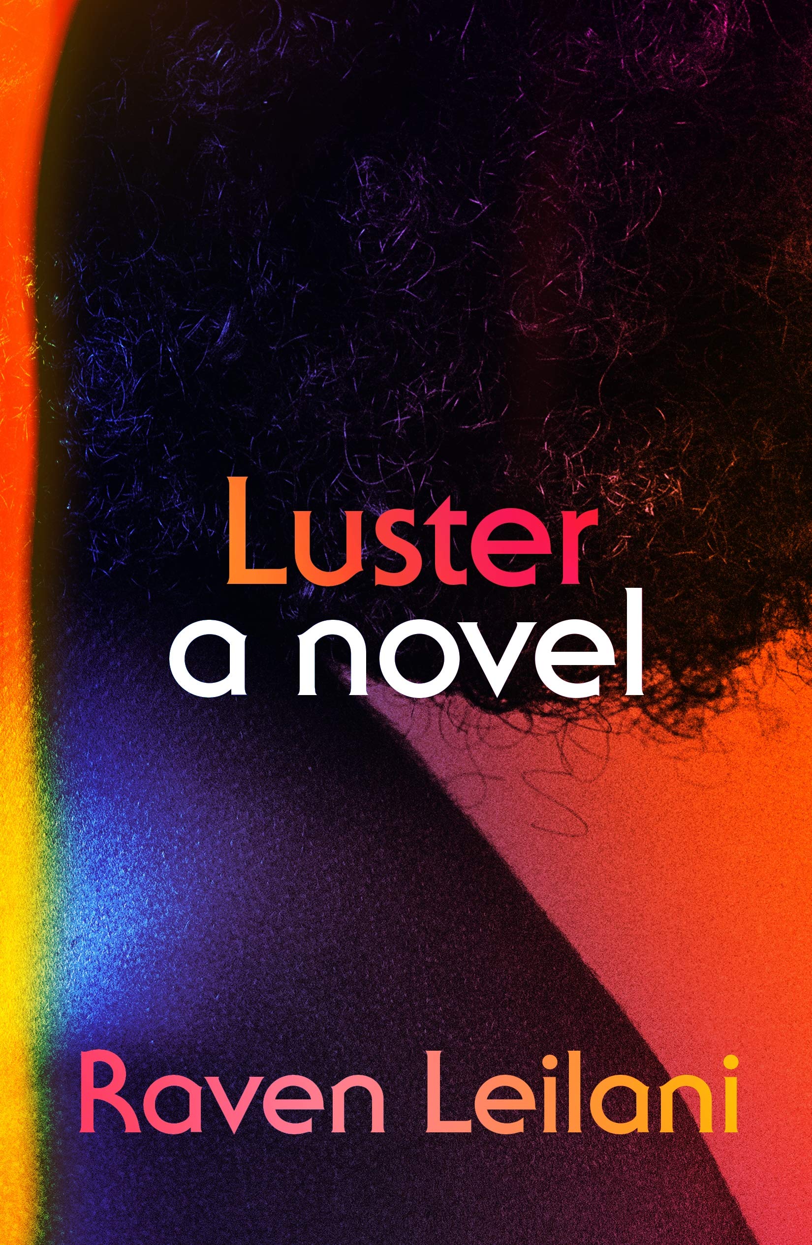 Luster- A Novel cover