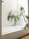 large branch over a bath tub