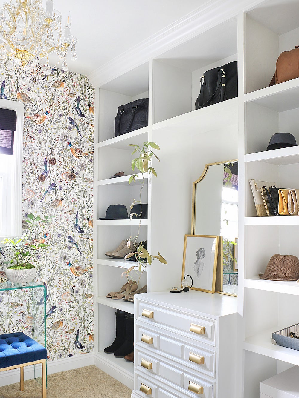 closet with bold wallpaper