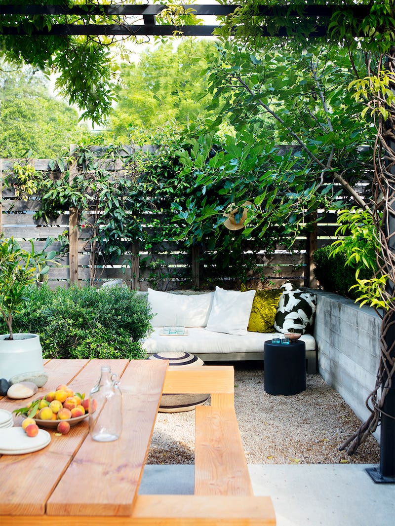 lush yard with cozy seating