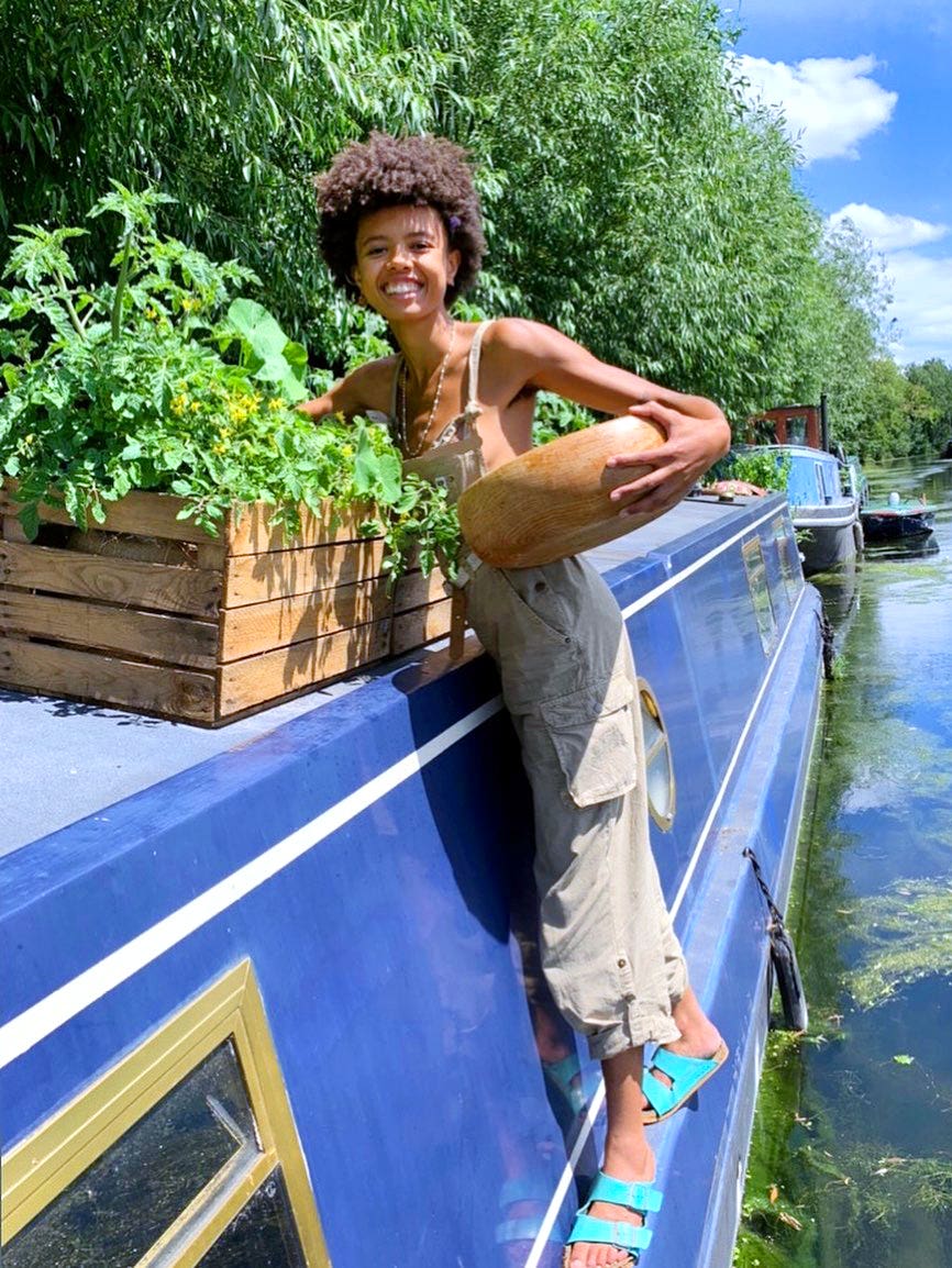 Poppy okotcha and plants on a blue boat