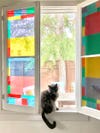 stained glass window and cat