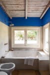 royal blue bathroom with built-in tub
