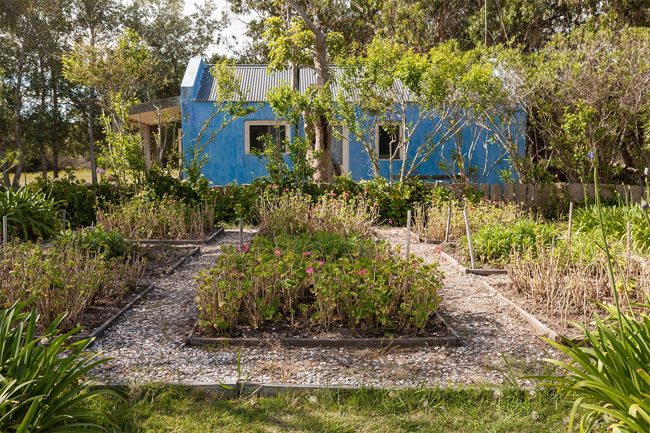 outdoor garden in front of blue home