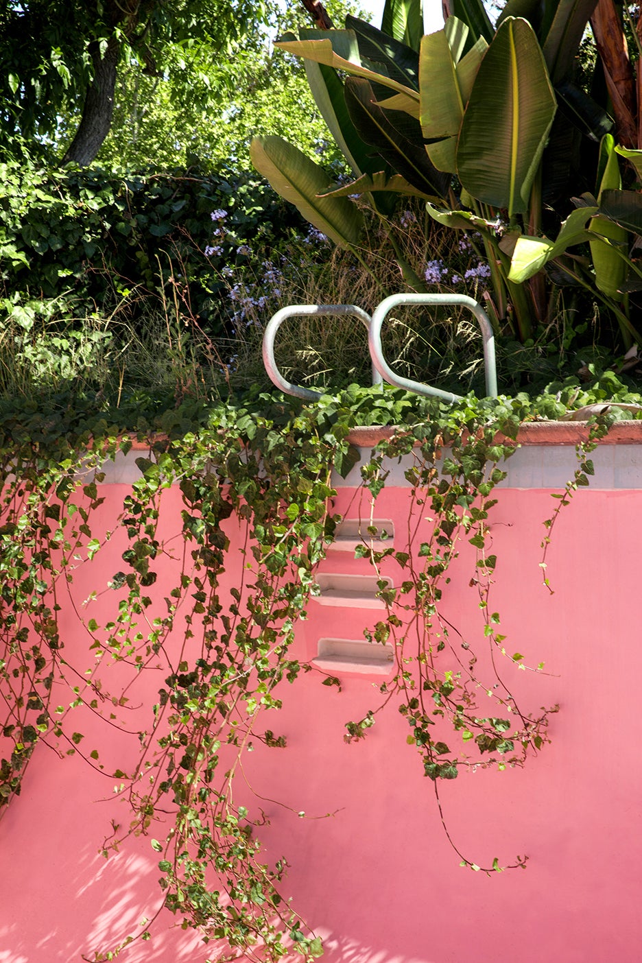 vines going down a pool