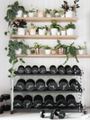Shelves with plants and weights