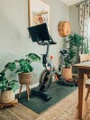 Stationary bike surrounded by plants