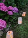 paper lanterns around purple flowers