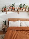 bedroom with plant shelf and terracotta sheets