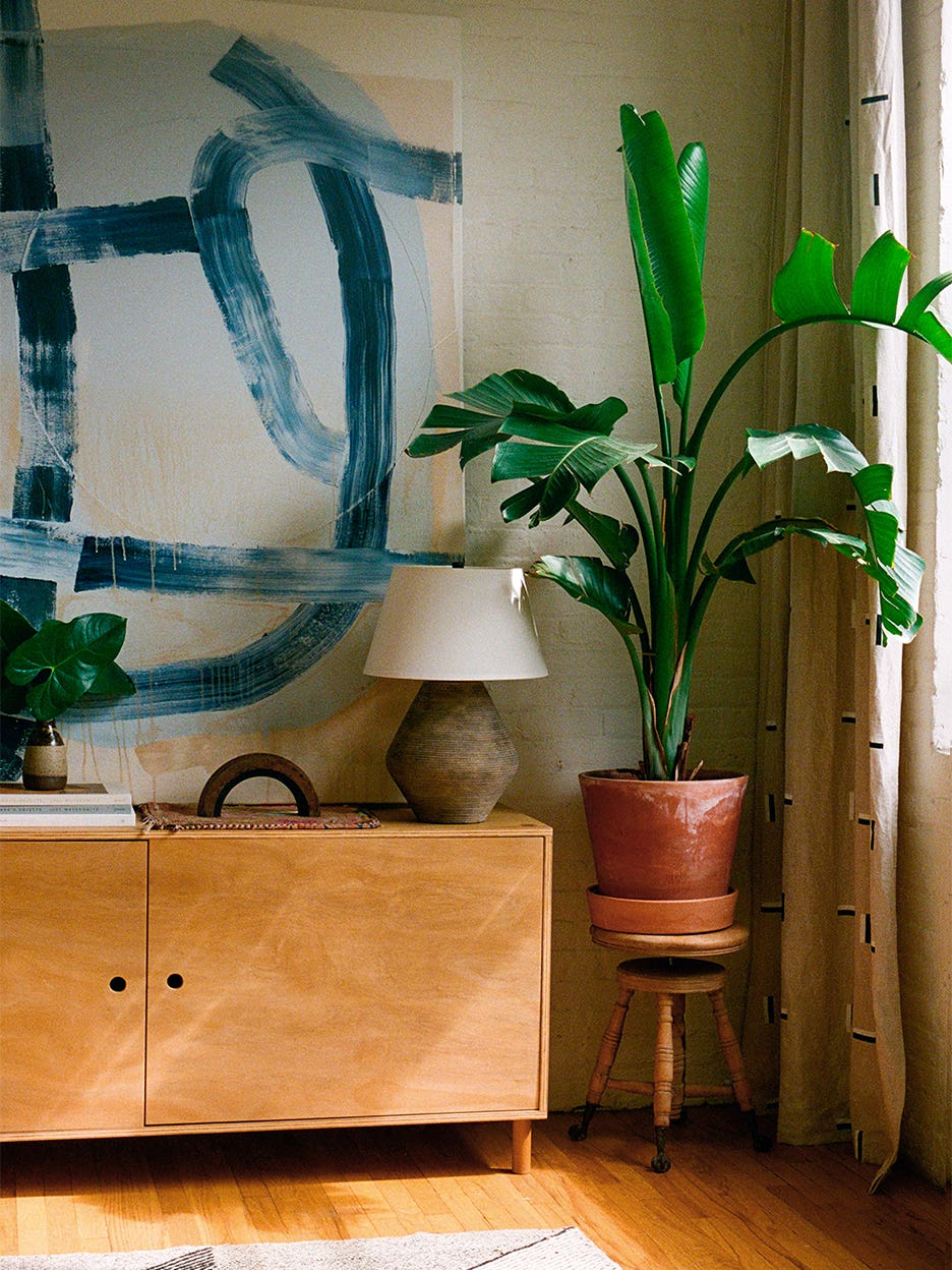 Corner of room with big plant