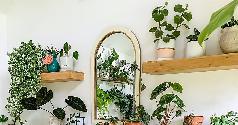Indoor Plant Shelf, Indoor Plants Wall Shelves