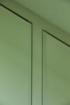 Pistachio paint closet doors