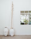 white wall with vases