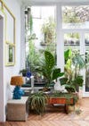 Living room with plants and floor-to-ceiling windows
