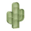 cactus shelf