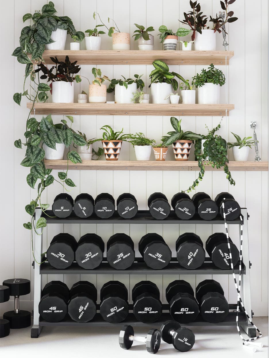 Shelves with weights and plants