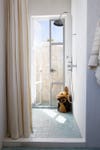 french doors in shower