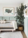 Sage green kids bedrooms - A nursery with sage green wall paint. 