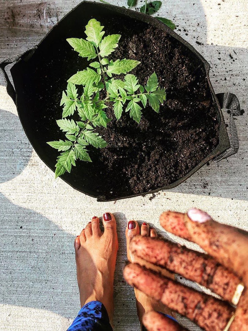 Woman's hand with potting soil