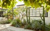 Garden with cacti against a house in Los Angeles