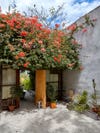 courtyard with blooming flowers
