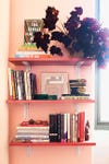 pink bookshelf with plant