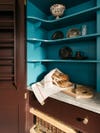 blue pantry shelves