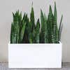 white rectangular planter box