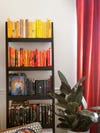 Bookshelf organized by color