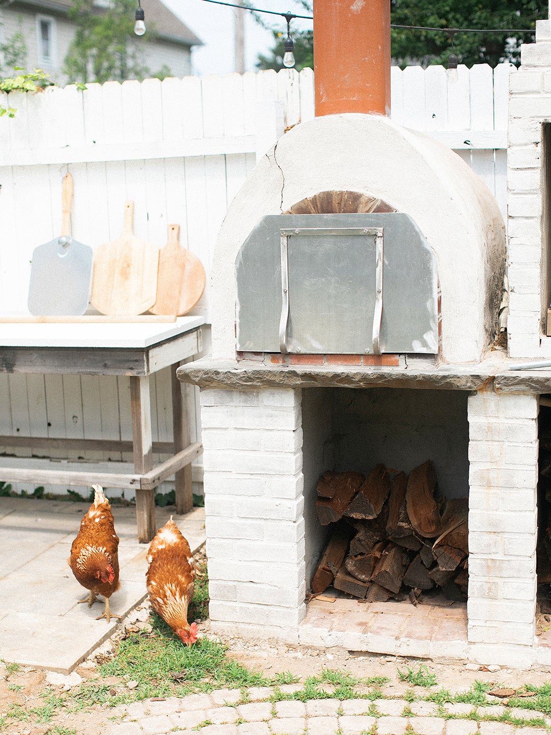 chickens next to oven