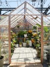 glass greenhouse filled with plants