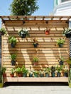 wood slat wall with hanging potted plants