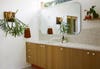 bathroom with plants and transom window