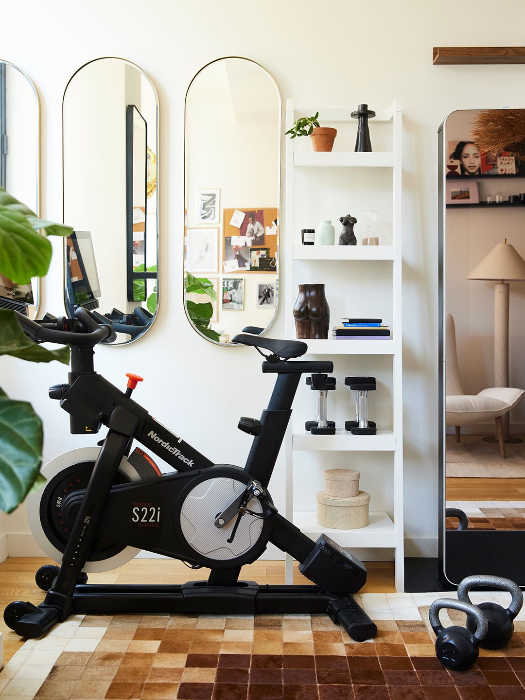 workout bike in living room