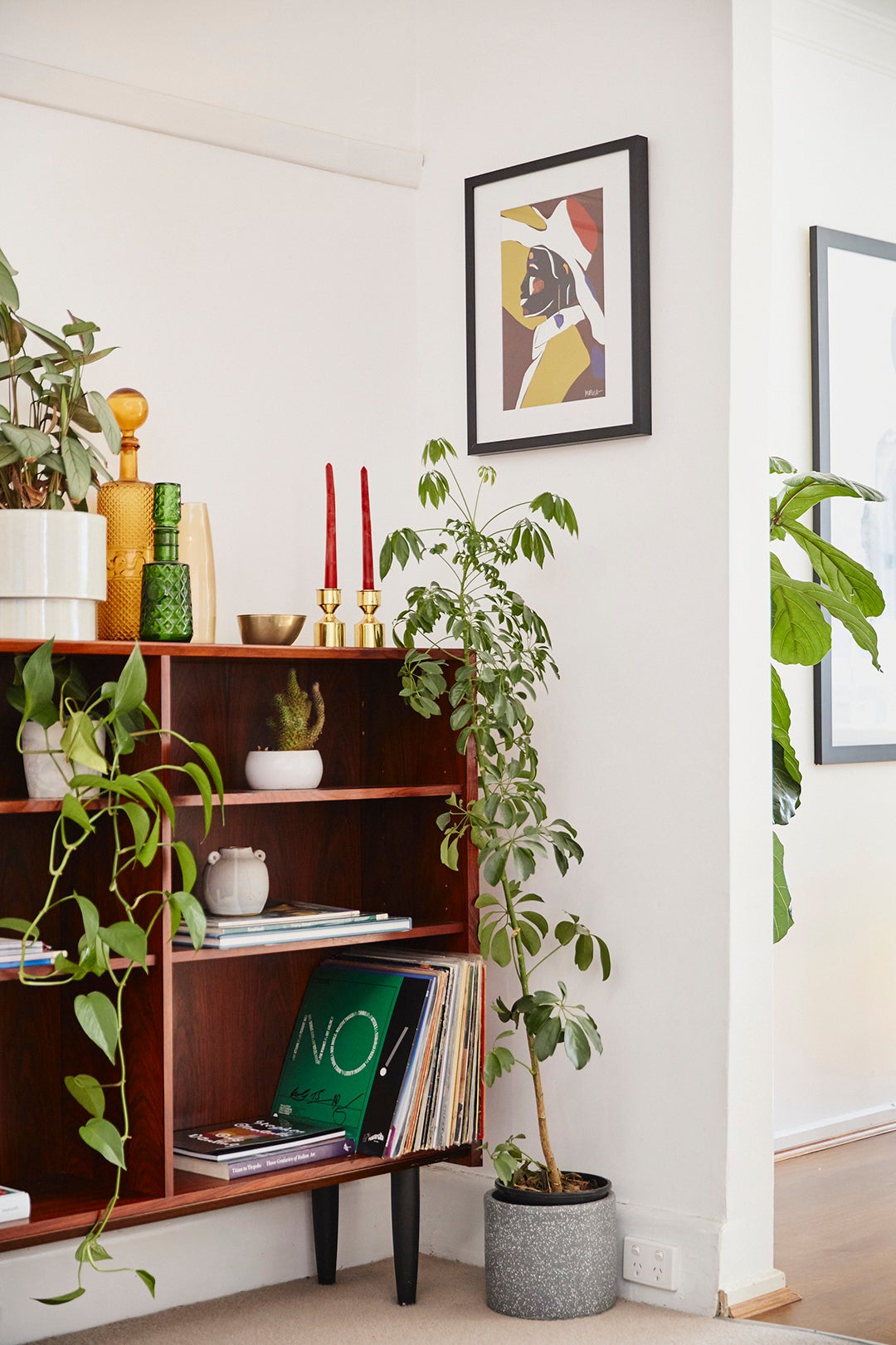 Home corner, plants, paintings and wooden shelves