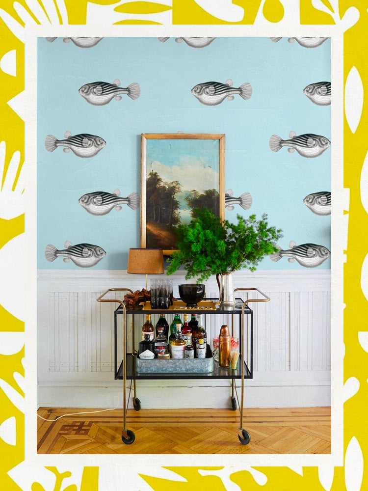 Blowfish wallpaper