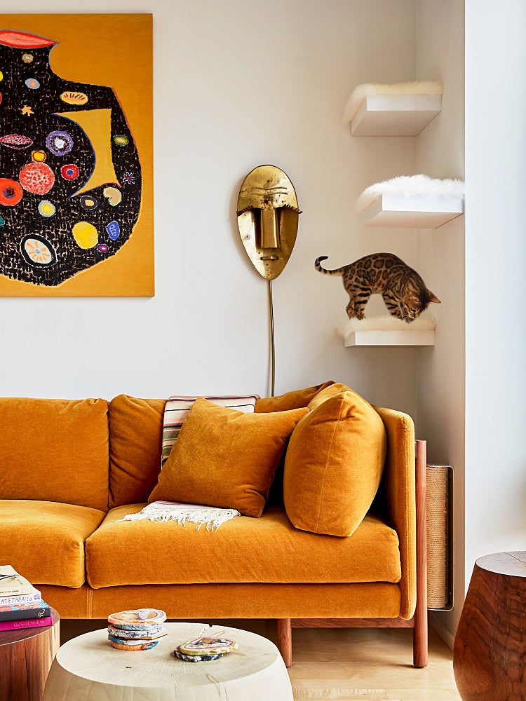 yellow sofa with cat on shelf