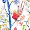 Colorful Bird Print Wallpaper