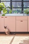 cat in front of pink kitchen cabinets