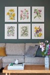 botanical prints on green wall