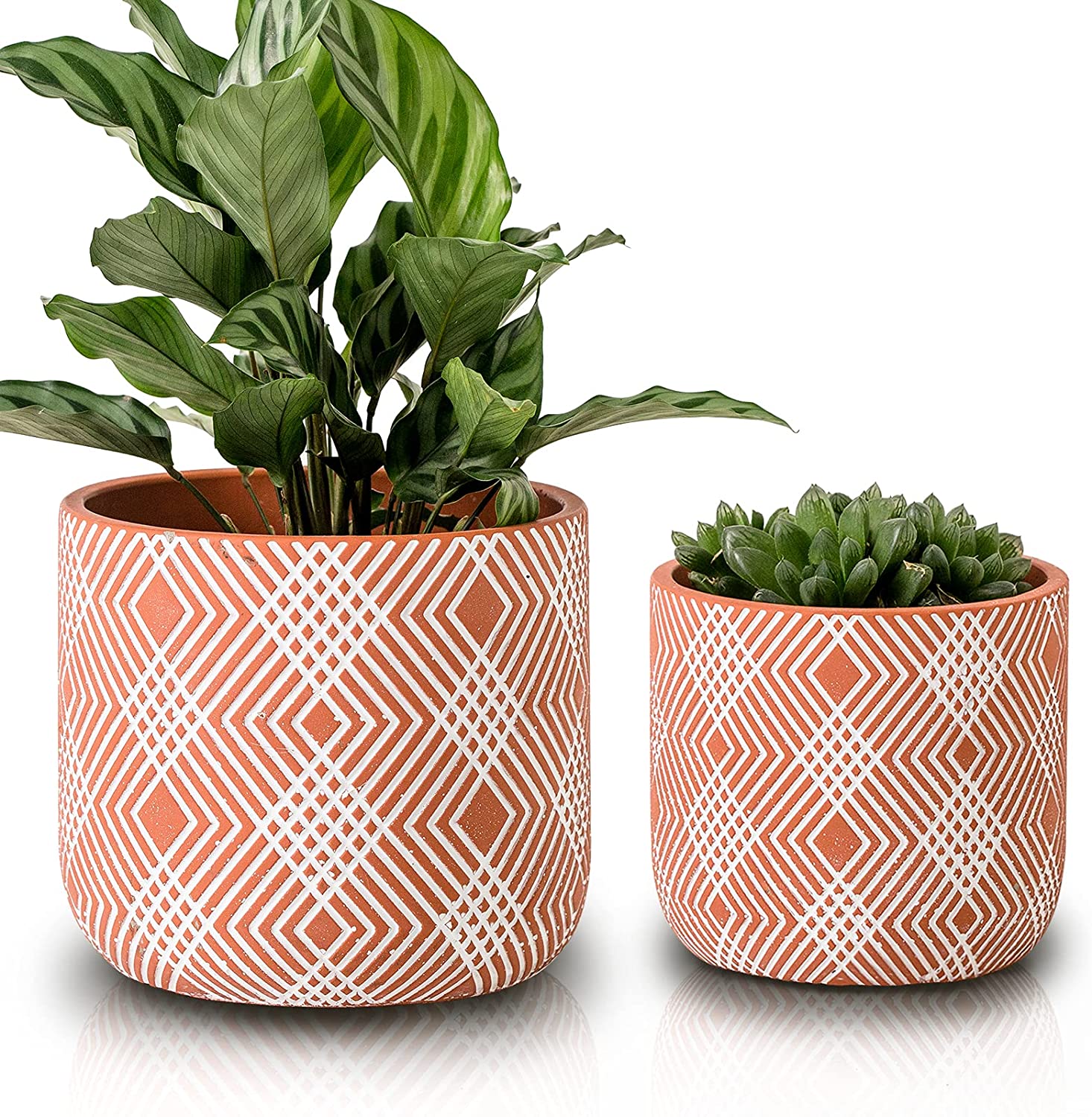 two pink plant pots