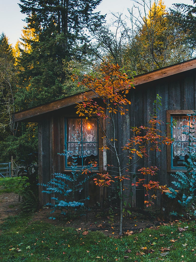 cozy shed cabin